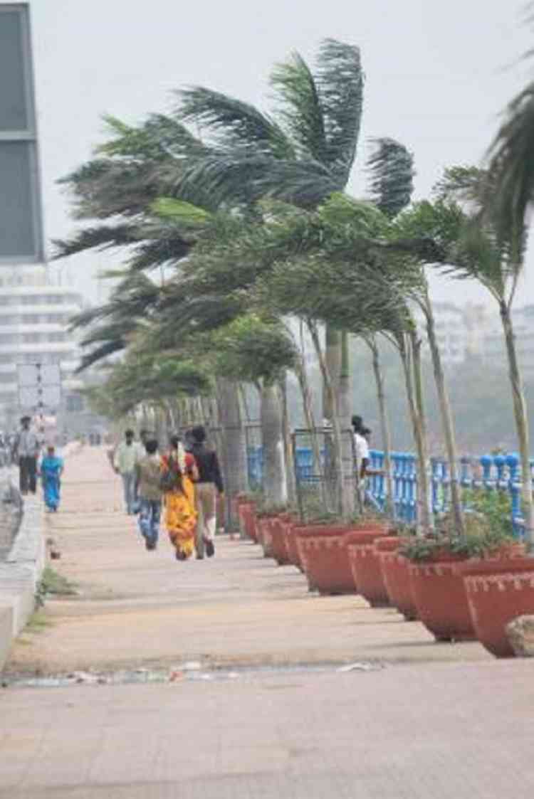 Rainfall relief expected across India, boosting agriculture and replenishing water reservoirs