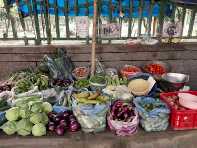 Skyrocketing price of essential vegetables at Bengal markets leaves consumers distressed
