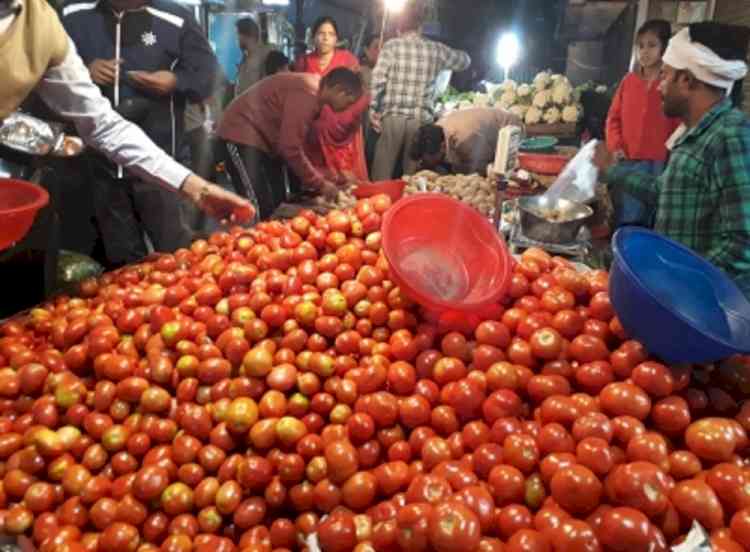 Weather fluctuations hit Himachal vegetable crops