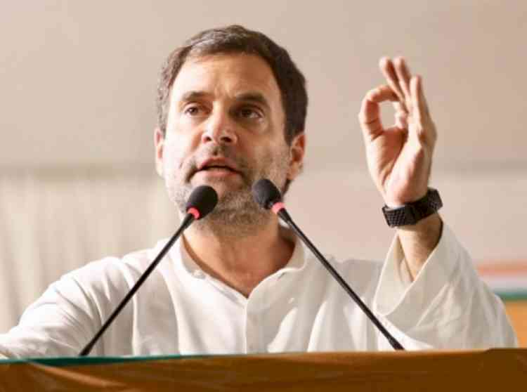 Won't allow BJP to divert attention from public issues: Rahul on price rise amid Modi's UCC pitch