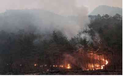 Over 120 mn Americans across dozen states under air quality alerts due to Canadian wildfire smoke