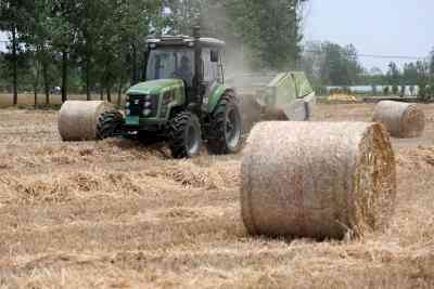 Punjab drafts plan of Rs 350 crore for straw management