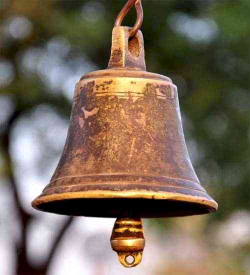 Meat pieces thrown in three Bihar temples