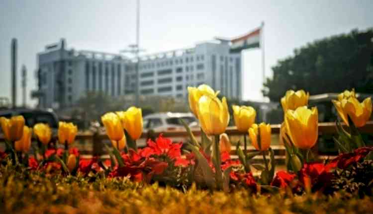Delhi Police Inspector's wife booked for south Delhi accident where four injured