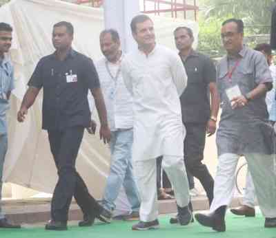 Political upheaval as Gujarat HC denies Rahul's plea for stay on conviction