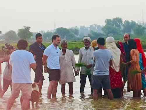 Rahul's interaction with farmers in Haryana village shows party's sensitivity: Cong