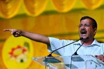 'BJP calling terminated individuals AAP volunteers reflect its frustration'