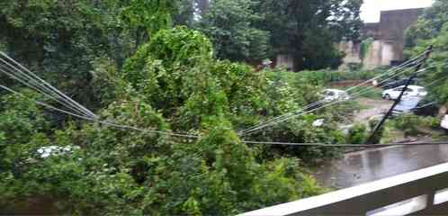 Chandigarh sees highest rainfall in 23 years, trees uprooted & underpasses submerged