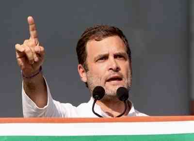 Torrential rains: Rahul Gandhi appeals party workers to help admin in relief work