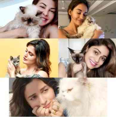 Catwomen: Alia isn't the only Bollywood celeb in love with furry felines