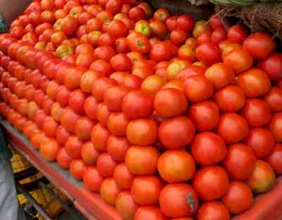 150 kg tomatoes stolen in Jaipur