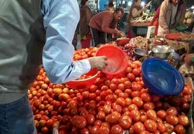 Amid rising prices, Centre to source tomatoes from Andhra, K'taka, Maha