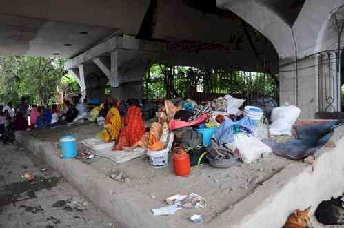 Over 1,000 people, 500 cattle rescued after floods in Delhi's low-lying areas