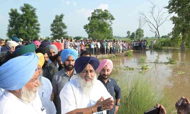 SAD President Sukhbir Badal appeals to CM to take corrective steps to mitigate suffering of people