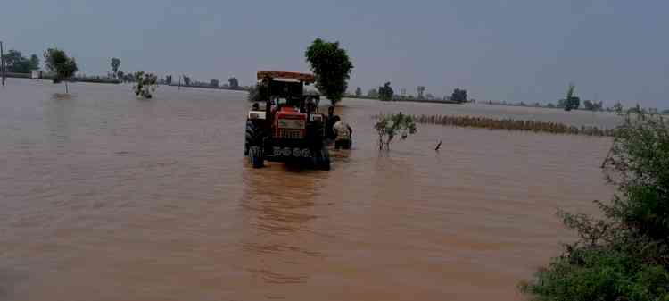 Thousands of acres of land inundated, crops destroyed