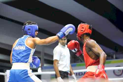 Junior Boys National Boxing C'ships: Haryana, SSCB Boxers dominate to reach semifinals