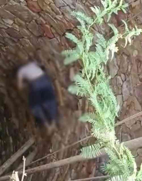 Dalit girl's body found in well in Rajasthan, RS MP stages dharna