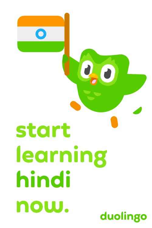 Over 8.4 mn people globally learning Hindi on Duolingo