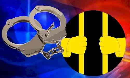 J&K: 4 LeT terrorist associates arrested in Budgam