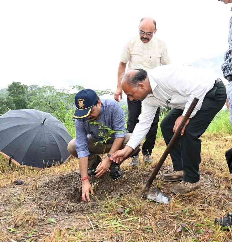 Van Mohotsav celebrated, 4000 new trees to be planted in Nauni campus 