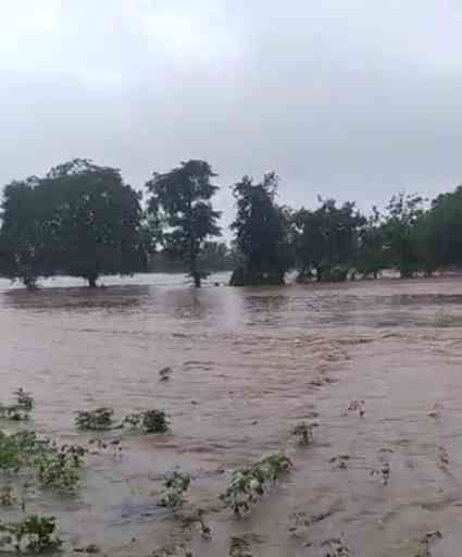IAF evacuates 40 villagers marooned in Yavatmal floods
