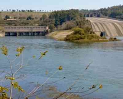 Water level at Bhakra dam below danger mark: Punjab CM