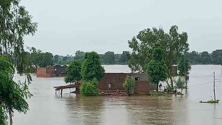 Rising water levels devastate villages and destroy crops
