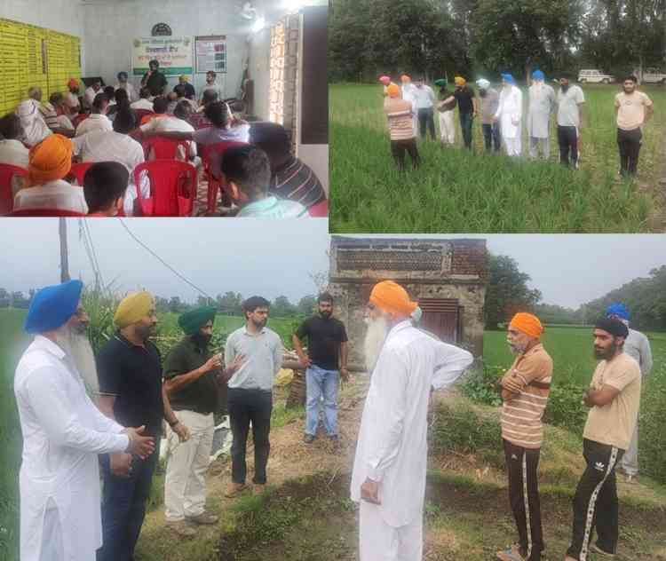 Farmer-scientist interaction to create awareness among farmers about rice stunting disease