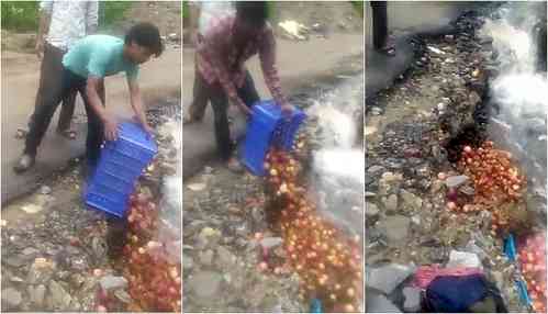 Roadblocks become pain, Himachal growers dump apples in rivulets