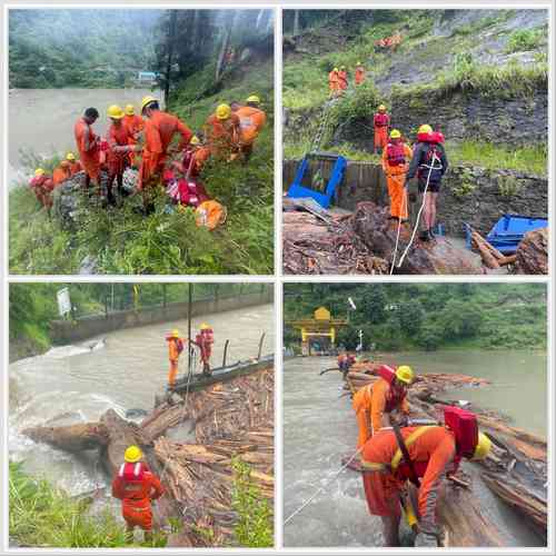 Unusually large logs floating in Himachal's flooded rivers pose a threat