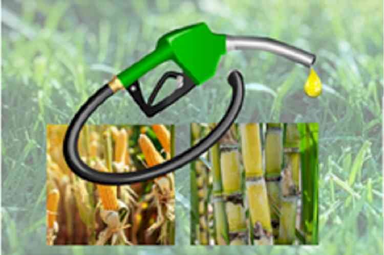 Punjab 3rd in India with 166 Ethanol 20 blend petrol stations