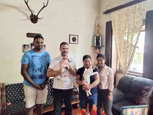 Rahul Gandhi takes pair of Jack Russell Terrier puppies from Goa