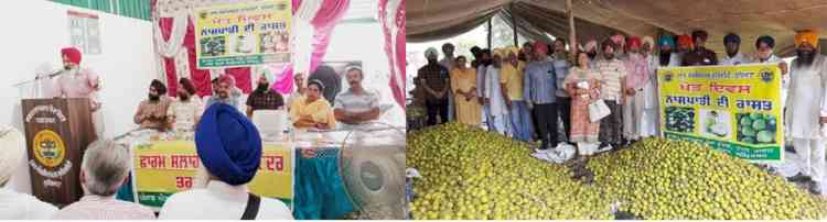 FIELD DAY ON CULTIVATION OF PEAR ORGANISED BY FASC, TARN TARAN AND KVK, AMRITSAR