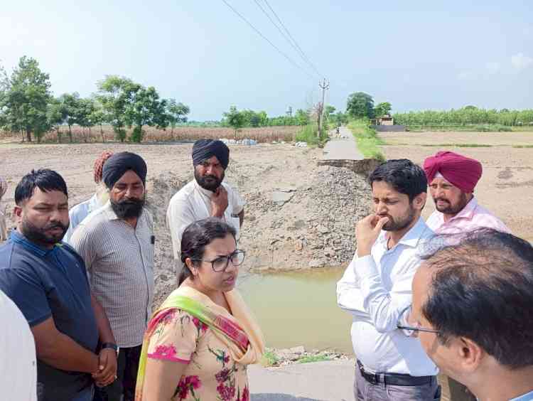 DC reviews progress of special girdawari in flood-affected villages of Ludhiana District