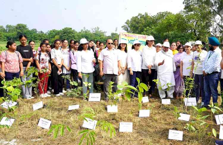 CICU-Women Entrepreneur Forum made efforts for a Micro- Forest