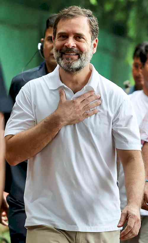 Post SC order on Rahul, BJP plans campaign against his statements