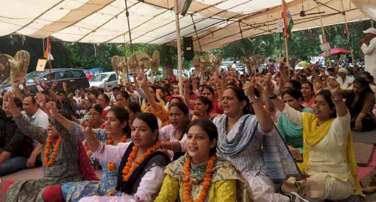 34 दिनों से हड़ताल पर बैठे लिपिकों ने प्रदेश सरकार की शांति व सद्बुद्धि के लिये किया हवन