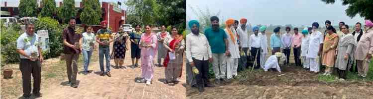 TREE PLANTATION DRIVE TO COMMEMORATE 75TH YEAR OF INDEPENDENCE – KVK KAPURTHALA