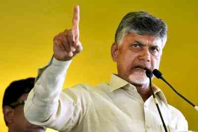 Chandrababu Naidu demands CBI probe into attack on him