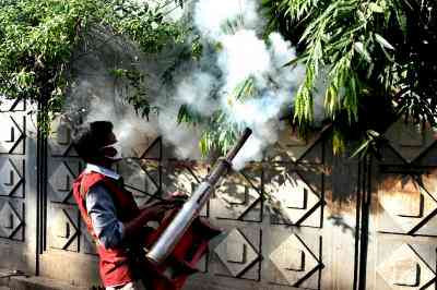 Bangladesh's dengue death toll passes 350, with 101 new deaths in August