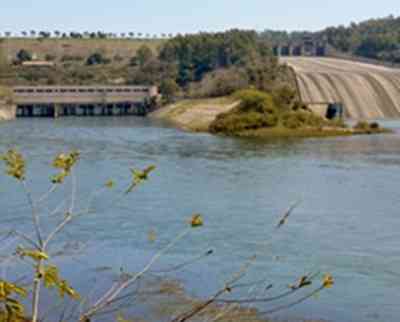 Floodgates of Bhakra Dam opened after heavy rainfall