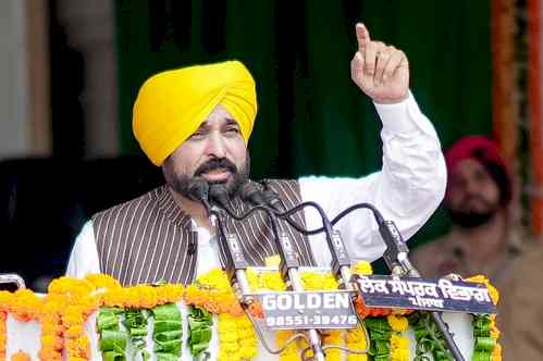 Will realise dreams of great freedom fighters: Punjab CM