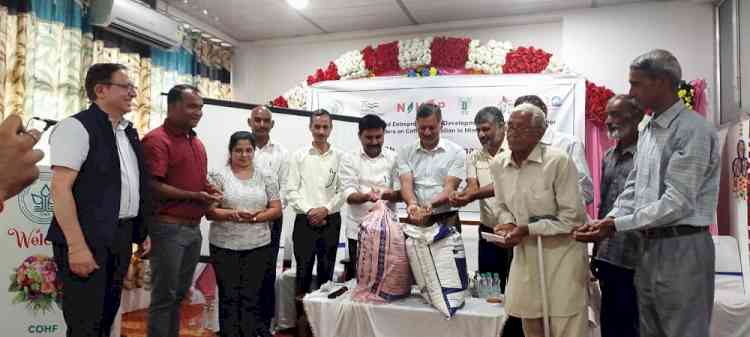 Efforts being made towards crops diversification through coffee cultivation