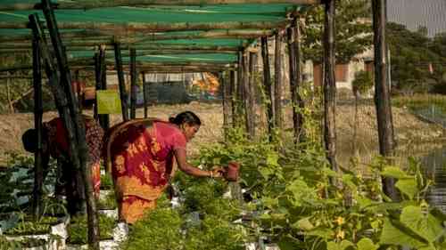 Locally-designed floating farm programme in Sundarbans wins $100,000 at GEF Assembly