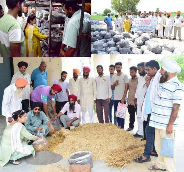KVK Sangrur conducted vocational training course on “mushroom cultivation and processing”