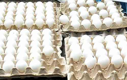 Sri Lanka to import over 92mn eggs from India