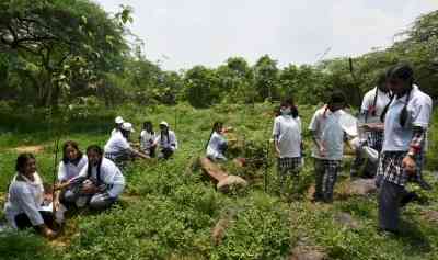 No construction in the Central Ridge for the time being, says Delhi HC in interim order