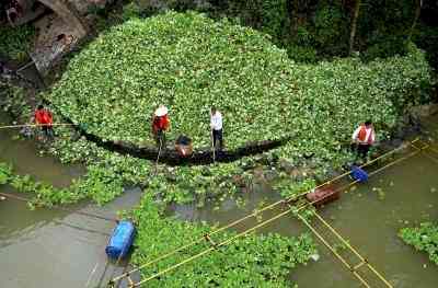 Over 37,000 alien species, comprising India’s hyacinth, pose threat to nature globally: IPBES