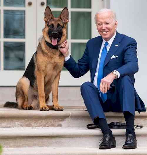 Biden's dog bites Secret Service agent