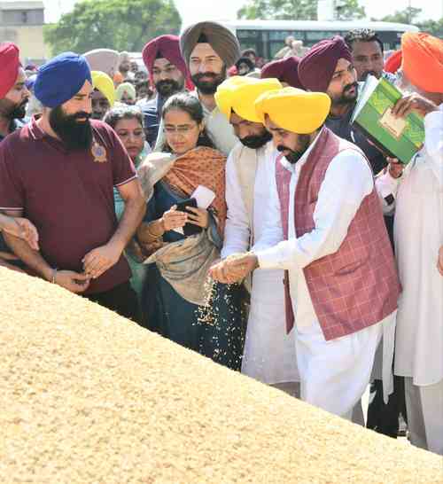 Punjab set to procure 182 lakh metric ton paddy